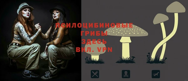 эйфоретик Куйбышев