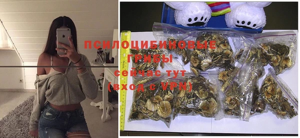мет Кукмор
